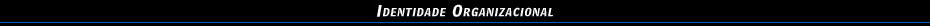 Identidade Organizacional