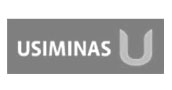 Usiminas S.A.